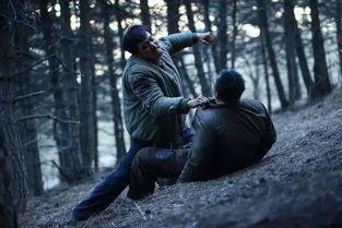 国产3级电影,国产三级电影的激情演绎